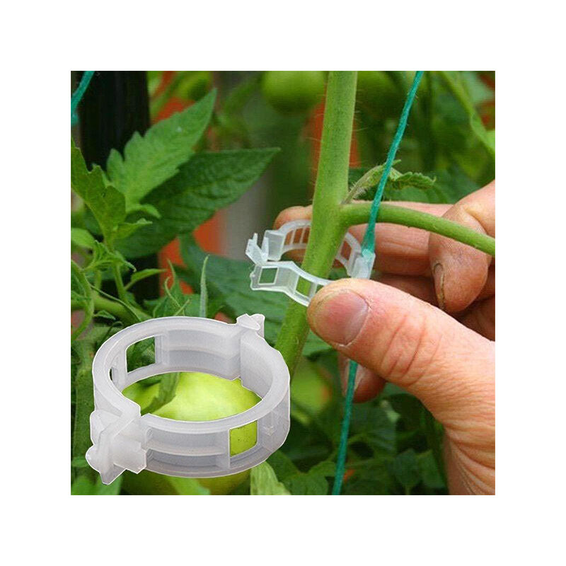 

Plantawa Clip Entutorado Tomate Caja 5000 Uds Tutores para Plantas Huerto