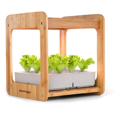 Plantawa Hydroponique Kit Complet Potager Intérieur Automatique Écologique (Plateforme 38 x 38 x 45 cm Écran LED Pépinières Plantes Vivantes Pompe à Eau)