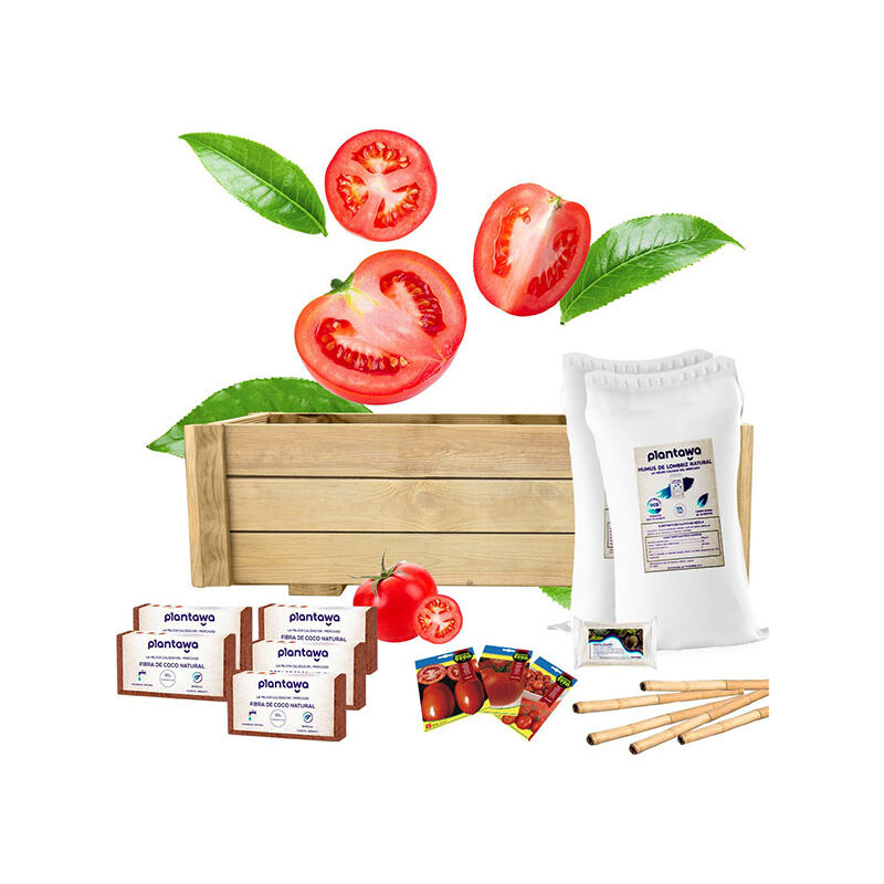 Plantawa - Kit de culture Tomates Jardinière (Jardinière 80 x 40 cm Sacs Humus de Ver de Terre Briques Fibres de Noix de Coco Engrais Graines Tomates