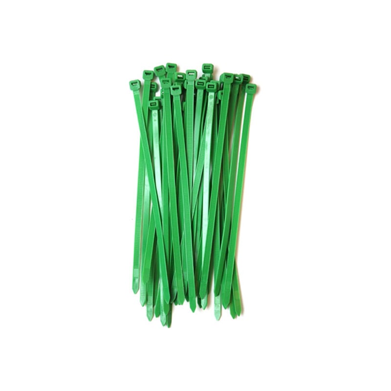 

Pack 50 Bridas Verdes Sujeción Jardín Brezos cañizos y mallas - Plantawa
