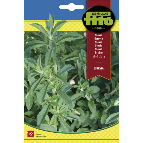 Plantawa Paquet de 4 Graines Stévia 30 graines par enveloppe en Printemps Aromatique - Fitó