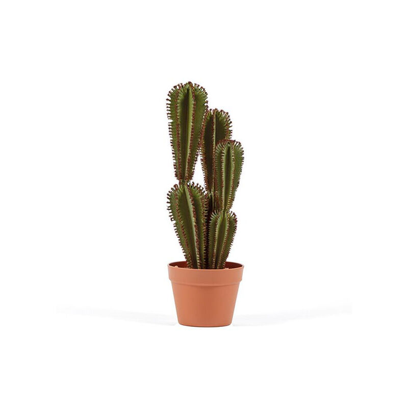 

Plantawa Planta Artificial Cactus Euphorbia Bajo 57 cm Plantas Artificiales con Maceta para Casa Decoración para Interior y Exterior