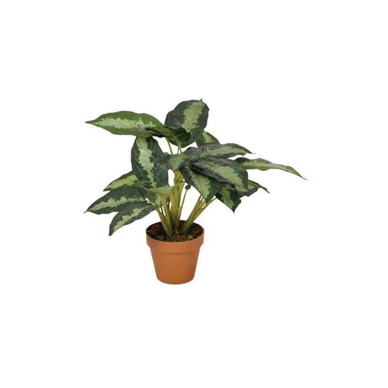

Plantawa Planta Artificial Calatea Baja 49 cm Plantas Artificiales con Maceta para Casa Decoración para Interior y Exterior