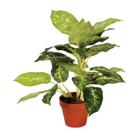 Plantas artificiales LangRay 800g musgo artificial, liquen para decoración,  plantas verdes simuladas, decoración del patio del jardín del hogar,  pasatiempos creativos