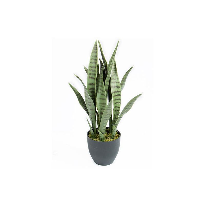 

Plantawa Planta Artificial Sansevieria 70 cm Plantas Artificiales con Maceta para Casa Decoración para Interior y Exterior