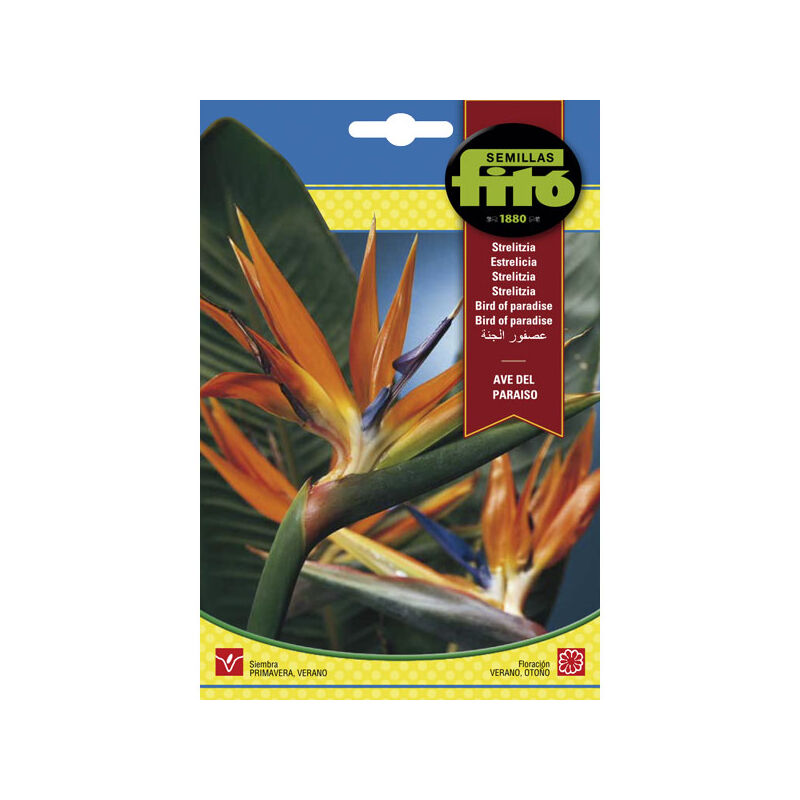 

Semillas de Ave del Paraíso Strelitzia para Siembra Primavera Verano Flor para Cultivar - Fitó - Plantawa