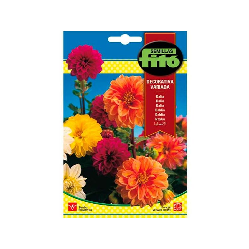 

Plantawa Semillas de Dalia Decorativa Variada para Siembra Primavera Flor para Cultivar - Fitó