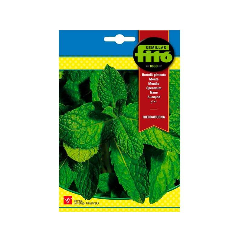 

Plantawa Semillas de Hierbabuena para Siembra Primavera Hierba Aromática para Cultivar - Fitó