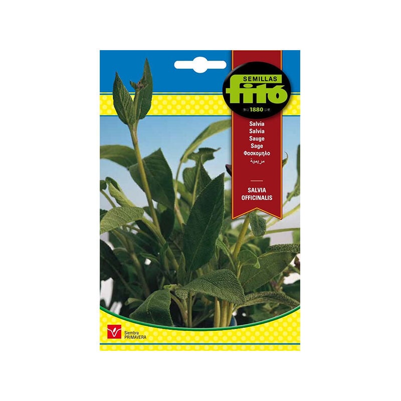 

Plantawa Semillas de Salvia Officinalis para Siembra Primavera Flor para Cultivar - Fitó