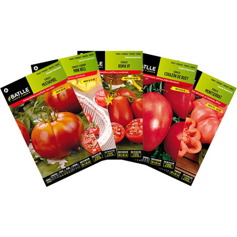 Plantawa Set de Graines Tomates (Tomate Cerise Minibel Tomate Muchamiel Tomate coeur de boeuf Tomate VF Rome Tomate Montserrat) Horticole dans Potager Urbain – Fitó Batlle