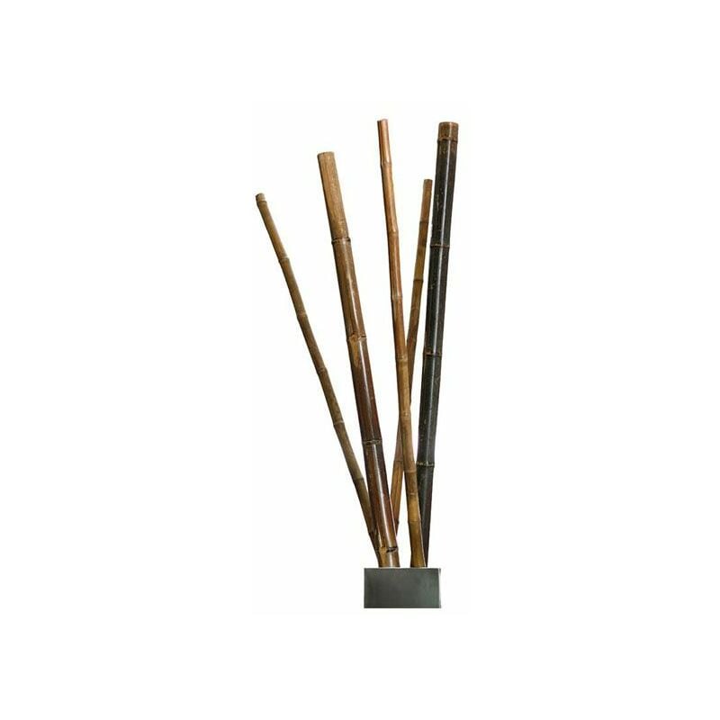 

Tutores de Bambú Decorativos Anchos 180 cm (Unidad) Tutores para Plantas Interior - Plantawa