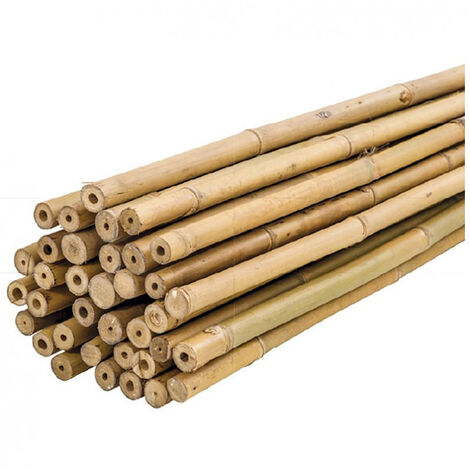 Plantawa Tutores de Bambú 210 cm Pack 25 Unidades