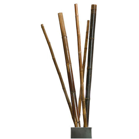 Plantawa Tutores de Bambú Decorativos Finos 180 cm (Unidad) Tutores para Plantas Interior