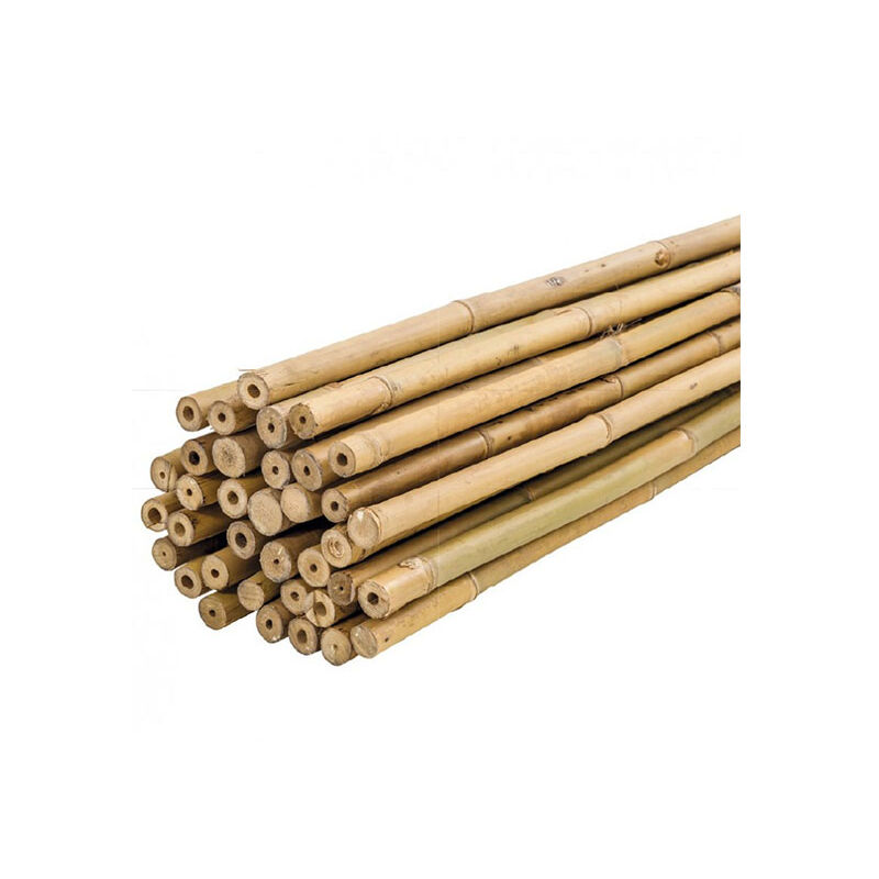 

Tutores de Bambú para Plantas 150 cm Pack 25 Unidades Tutores para Plantas Huerto Urbano - Plantawa
