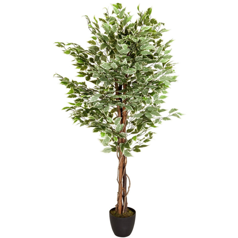 Plante artificielle / Arbre artificiel FICUS Plastique Vert hjh OFFICE Plante artificielle / Arbre artificiel FICUS Plastique Vert hjh OFFICE