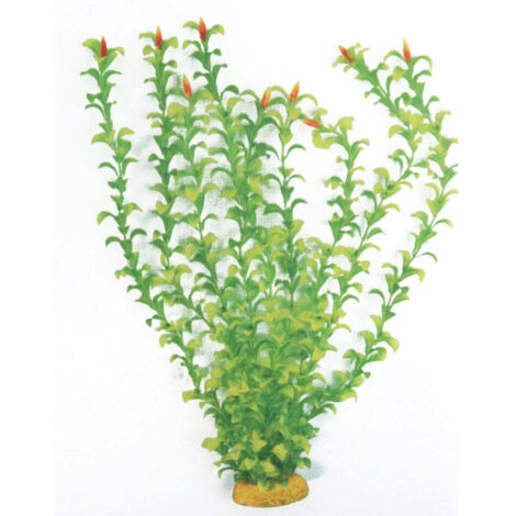 Plante Artificielle D'aquarium Classic Plant Hygrophila