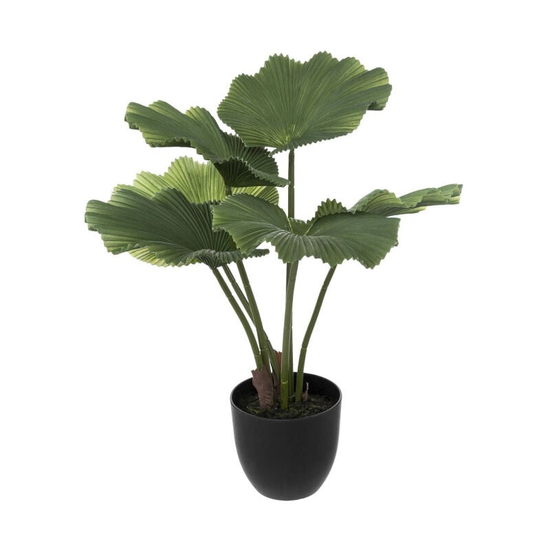 Atmosphera - Plante Artificielle Déco 'Palmier' 65cm Vert & Noir