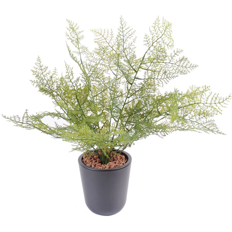 Pegane - Plante artificielle haute gamme Spécial extérieur / Asparagus artificiel - Hauteur : 50cm