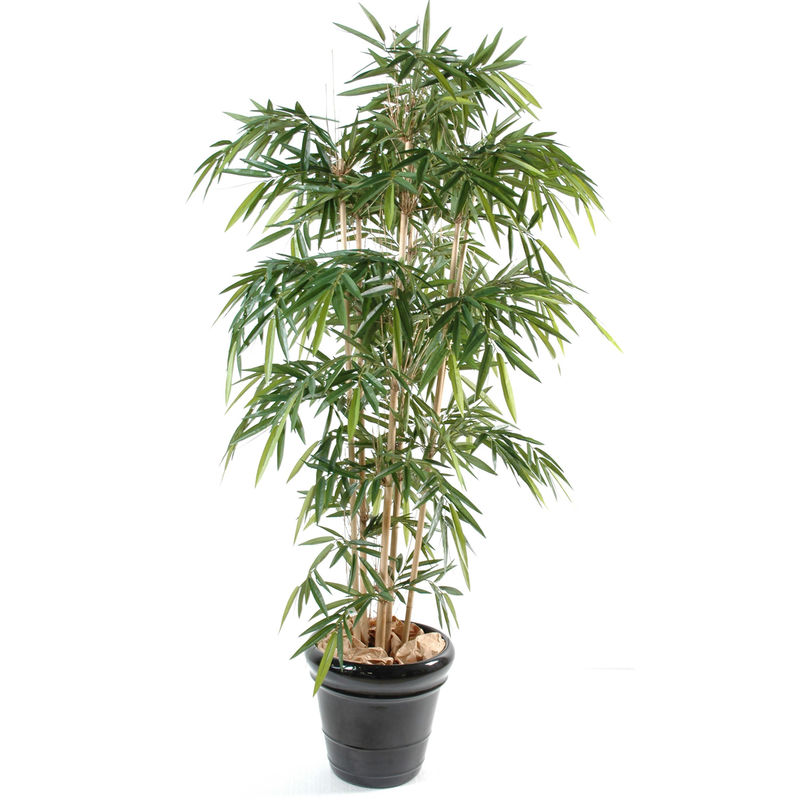 Plante artificielle haute gamme Spécial extérieur / Bambou artificiel coloris vert - Dim : 180 x 90 cm