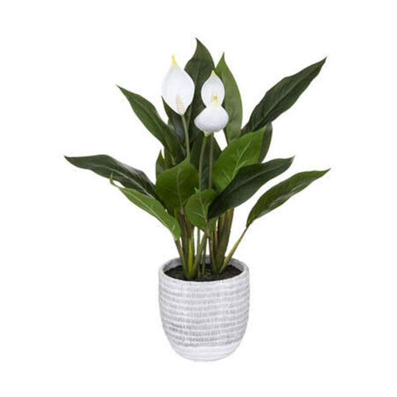Atmosphera - Plante Artificielle 'Lys de la Paix' 54cm Vert & Blanc
