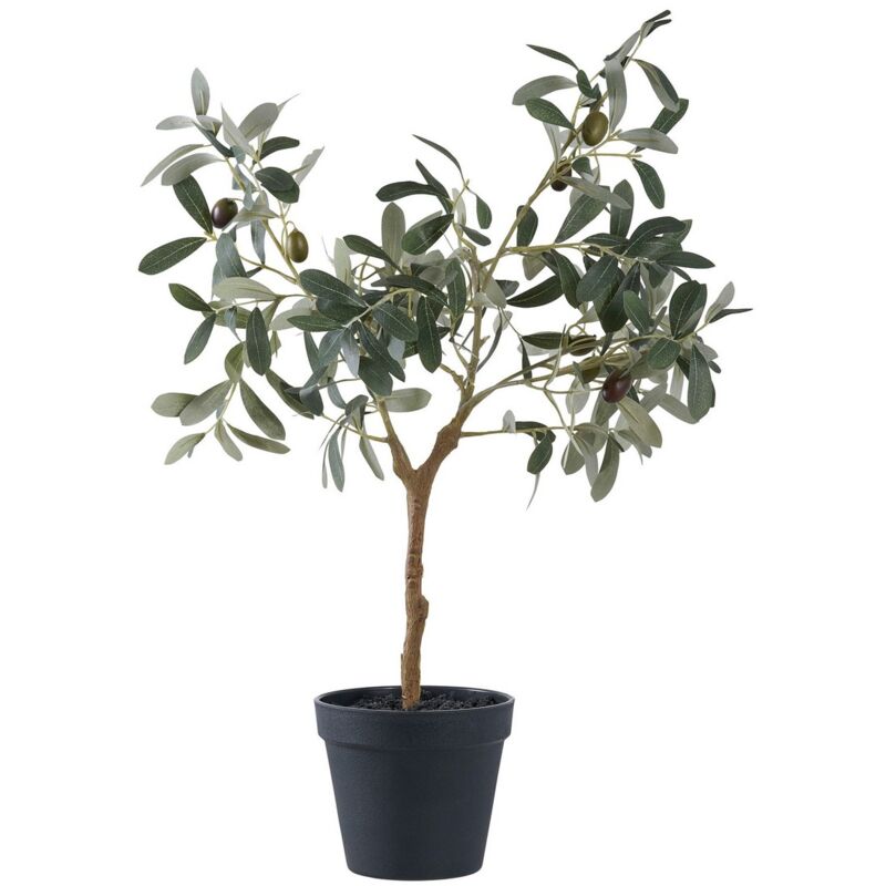 Epikasa - Plante Artificielle Olivier, pe Plastique, Vert, 22,5x36,5x61 cm