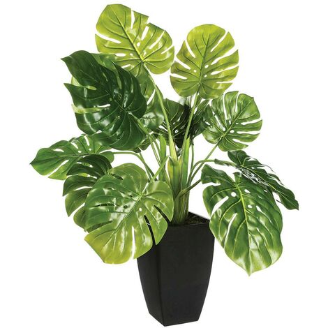 Plante artificielle H73 cm AGAVE Noir / Vert - Plante artificielle et mini  serre BUT