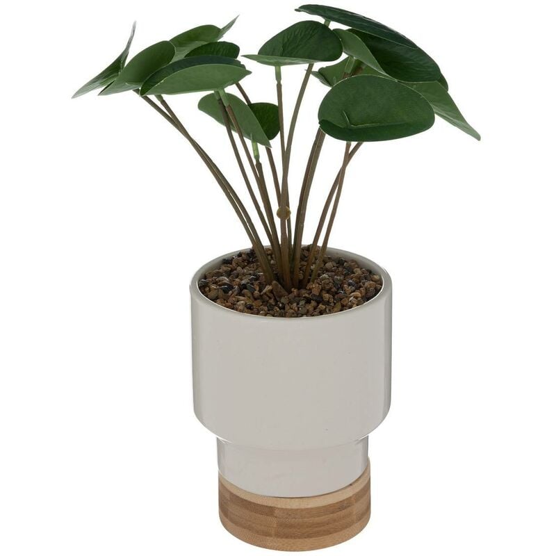 Plante artificielle Le collectionneur en céramique & bambou H26cm blanc - Atmosphera créateur d'intérieur - Blanc