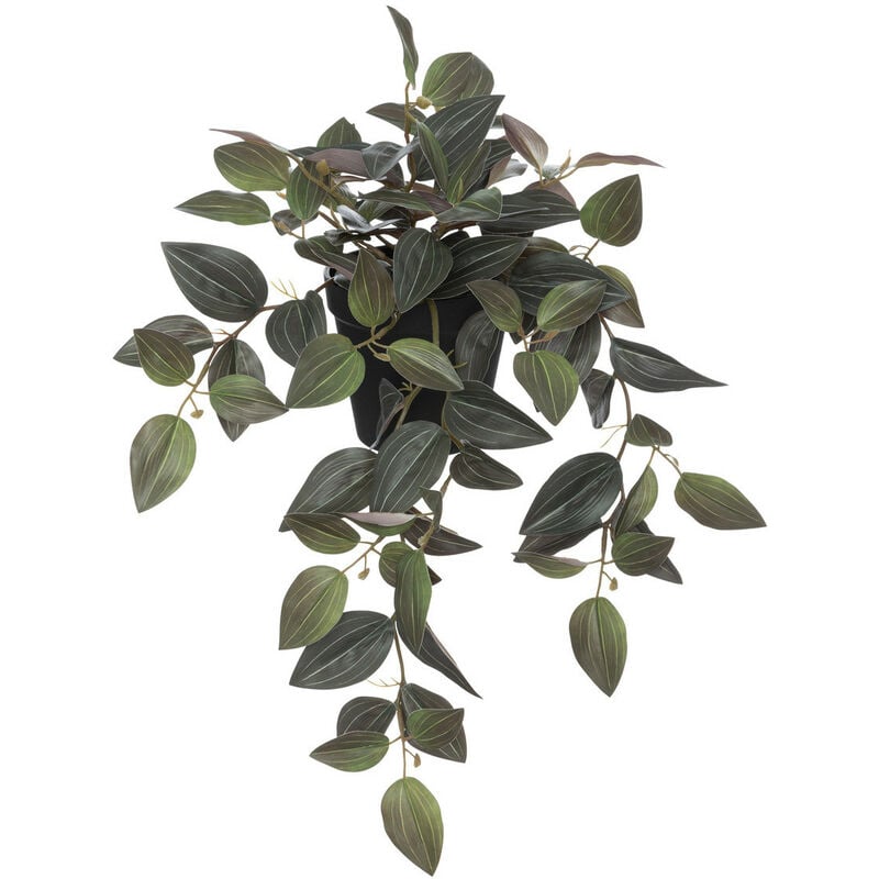 Plante artificielle Tradescantia bicolore h 45 cm Atmosphera Noir