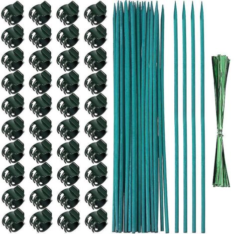 plante Bton De Bambou Bton D'arrangement Floral 38 Cm, Pour Soutenir Les Tiges De Vigne, Les Tiges De Bambou  Croissance Verticale, Les Tuteurs De