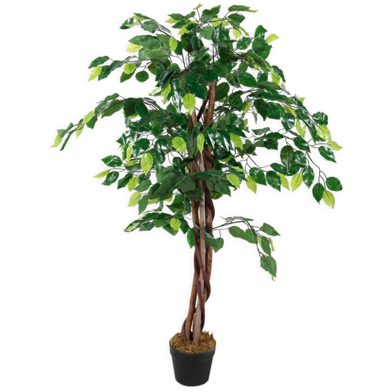 Spetebo - Plante décorative 115cm - Modèle : Benjamini (large)