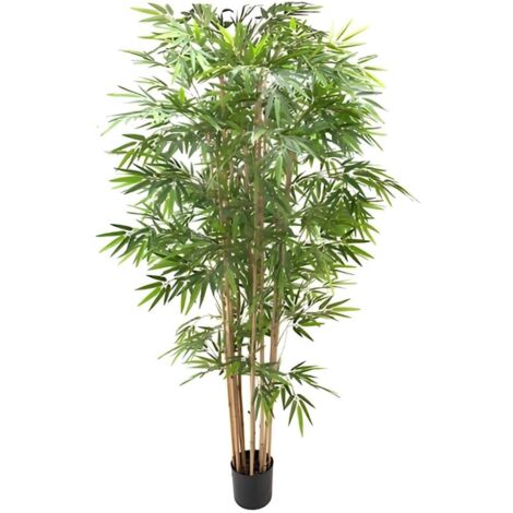 Plante de bambou 230 cm x 2480 feuilles