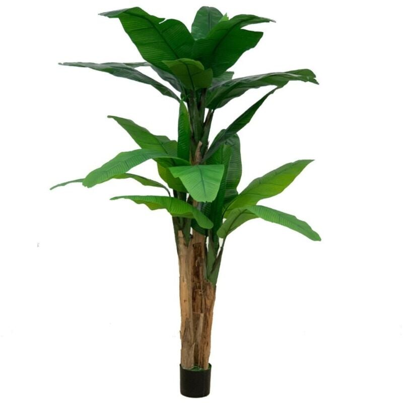 Plante de bananier 200 x 200 cm avec pot