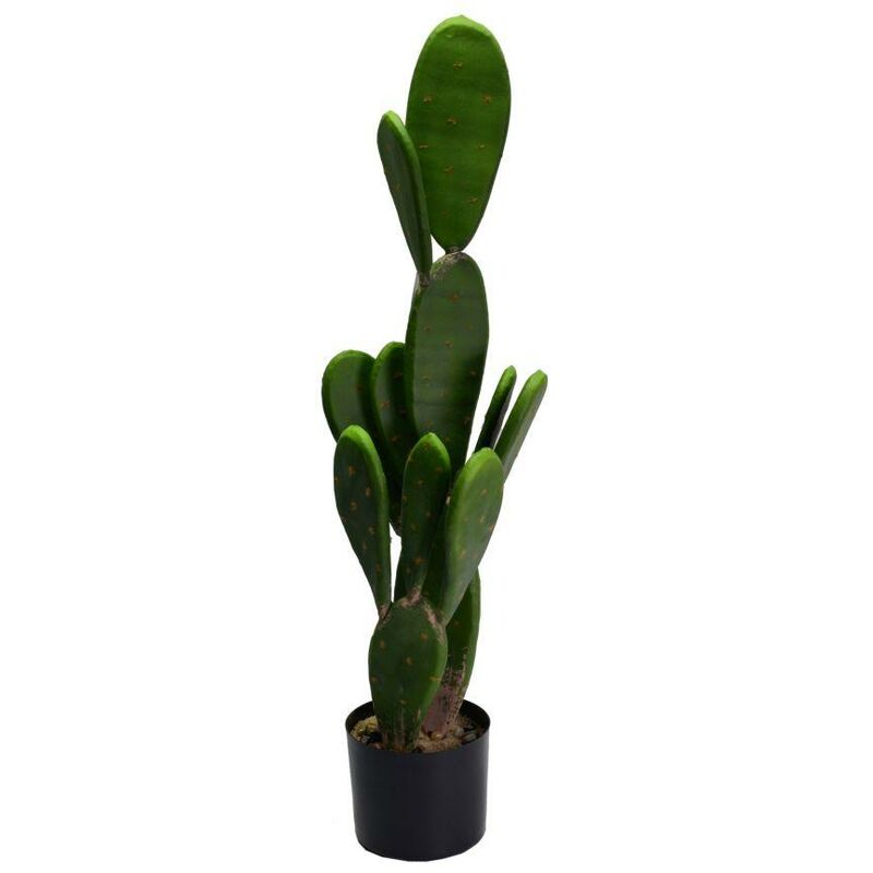 Plante de cactus avec pot rond cmø14h84