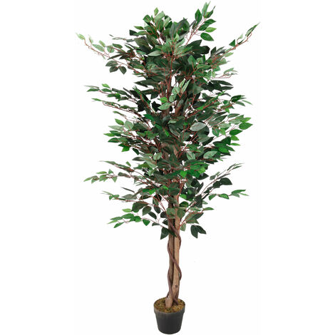 Plante Déco 160 cm - Modèle : Ficus
