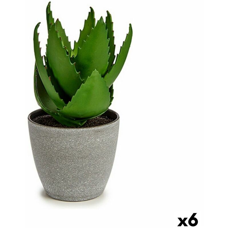 Plante décorative Aloe Vera 15 x 23,5 x 15 cm Plastique vert gris (6 pièces) - Ibergarden