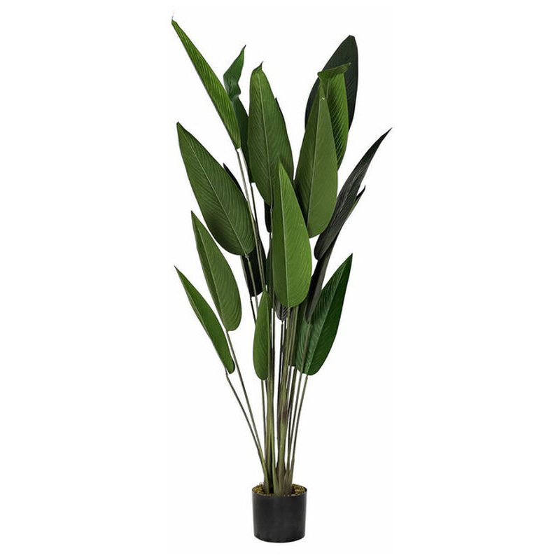 Plante décorative Dkd Home Decor 50 x 50 x 160 cm polyéthylène vert oiseau de paradis urbain