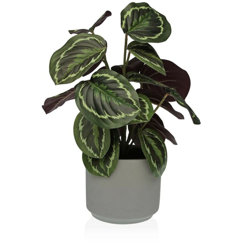 Versa - Plante décorative 15 x 40,5 x 15 cm Ciment Plastique