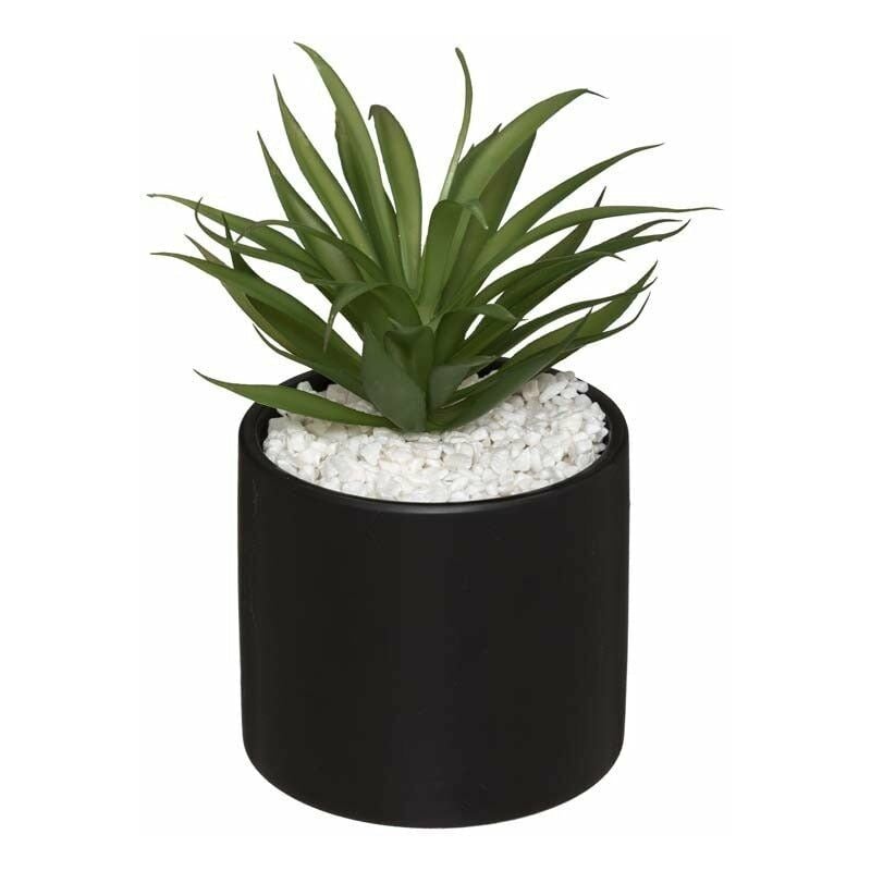 Silumen - Plante Grasse Artificielle 18cm avec pot marbre - Noir Blanc|Noir
