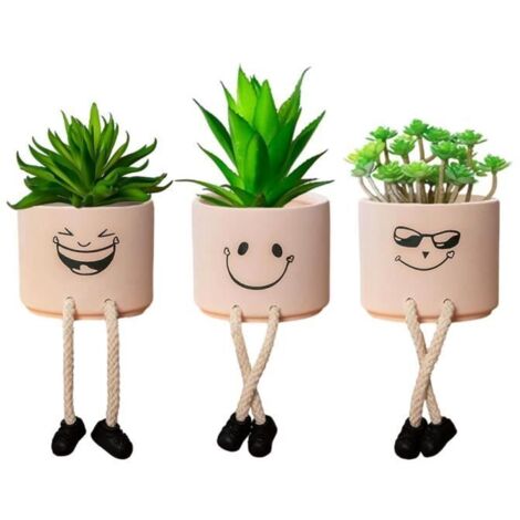 Plante Grasse - Artisanat - Pot en céramique - Décoratif - Intérieur - Style contemporain