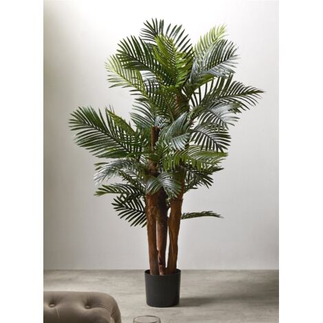 Plante Kentia 156 cm. 156 cm
