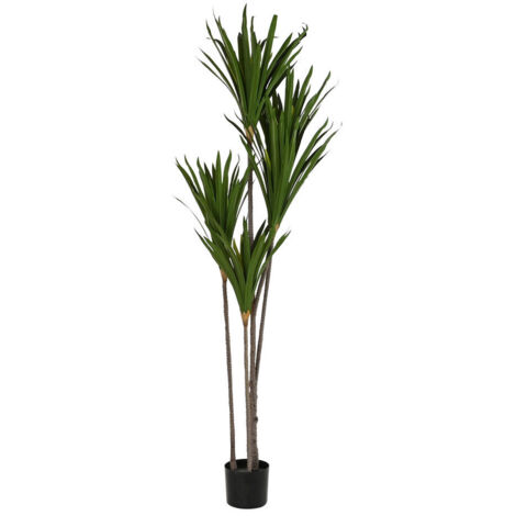 Plante Polyester Pp 80X80X180 Vert