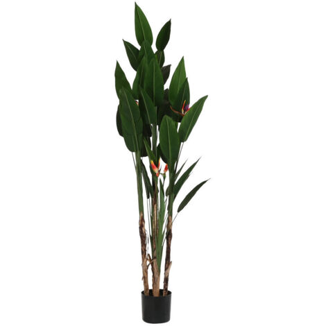 Plante Polyester Pp 90X90X200 Vert