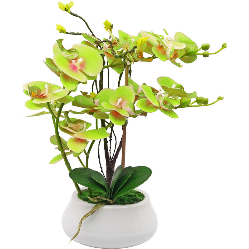 Modern Manor - plantes artificielles décoratives, orchidées artificielles-H42cm-vert