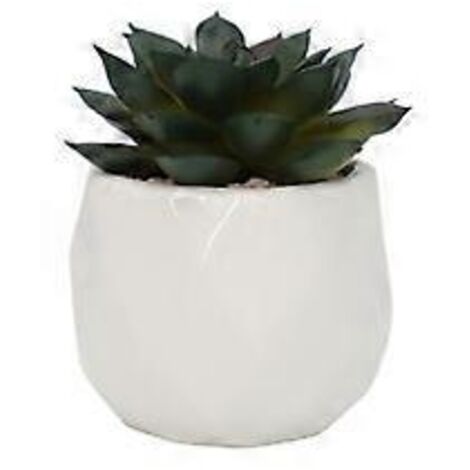 Plantes artificielles en pot, fausses plantes succulentes, mini fausses plantes dans des pots en céramique blanche, lot de 2 (PA03-5)