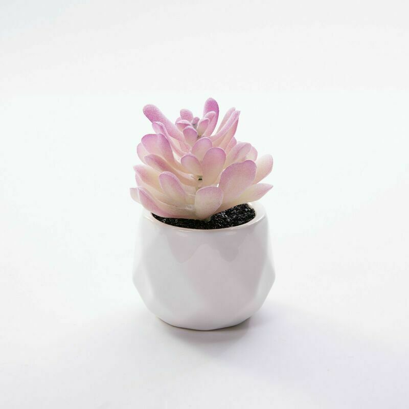 Plantes artificielles Succulent Cactus Faux décoratif Mini simulation de plantes en pot Cactus Cacti pour salle de bain Accueil Maison Décorations