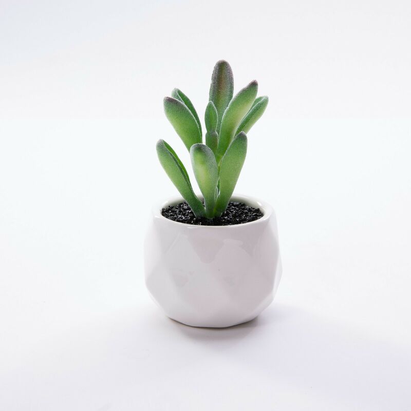 Plantes artificielles Succulent Cactus Faux décoratif Mini simulation de plantes en pot Cactus Cacti pour salle de bain Accueil Maison Décorations
