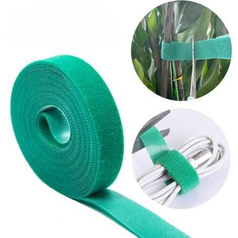 Plantes grimpantes chaudes, formes de plantes vertes, velcro de jardin, cabane fixe