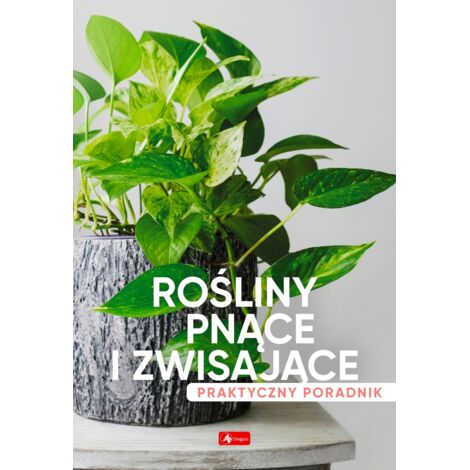 Plantes grimpantes et rampantes : un guide pratique