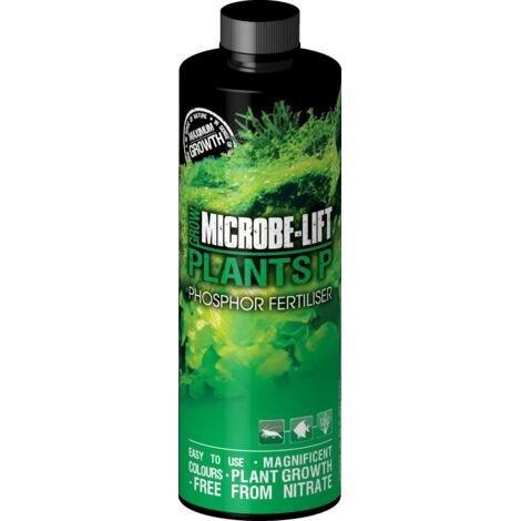 PLANTES MICROBIENNES P 118ML