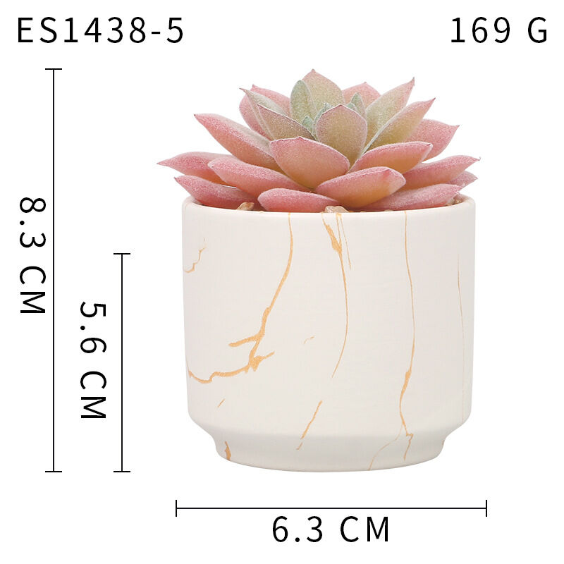 Plantes succulentes artificielles, jolies plantes grasses dans 2 pots en céramique rose, petites plantes artificielles pour bureau, chambre à